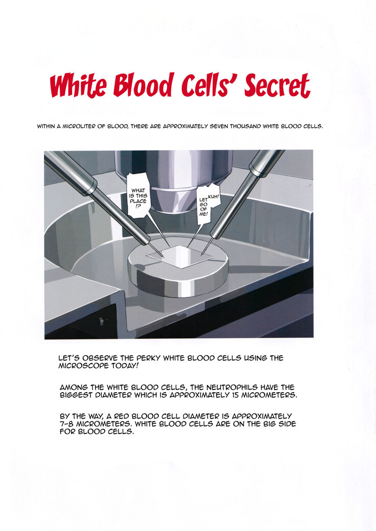 Hakkekkyu no Himitsu | White Blood Cell Secret