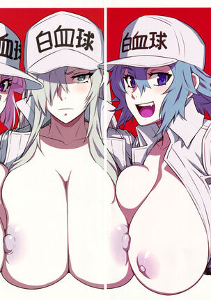 Hakkekkyu no Himitsu | White Blood Cell Secret Page #15