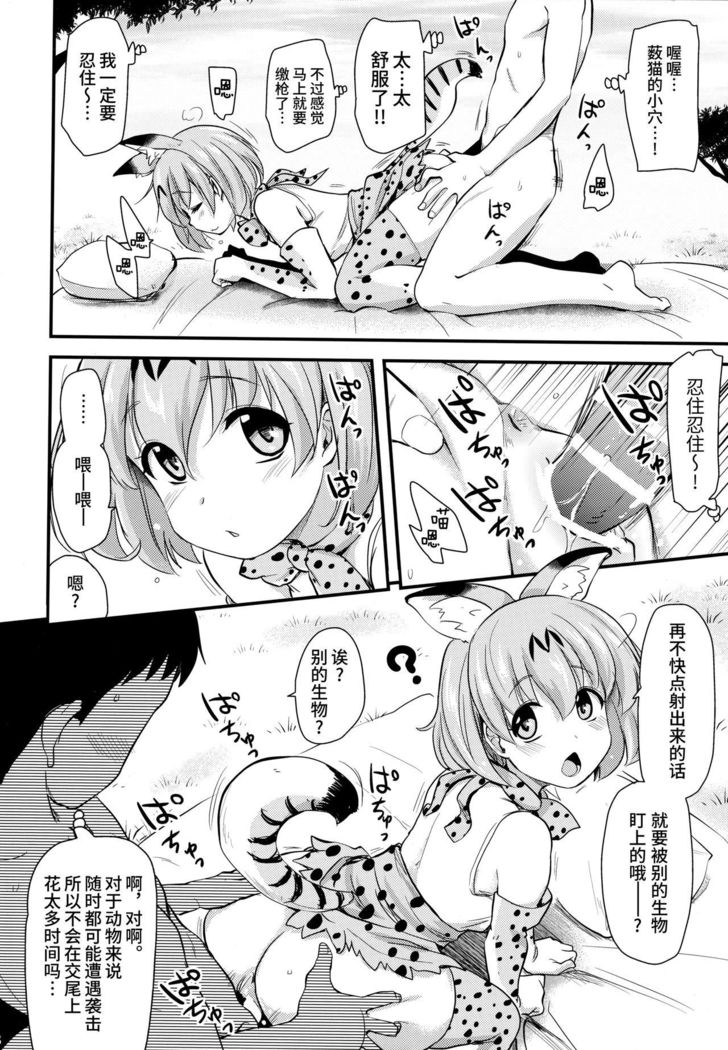 Sugoi! Anata wa Hitori Koubi Gokko ga Tokui na Friends Nanda ne - Serval-chan ni, "Hanshoku no Tame no Koubi" ja nai, Kimochiyoku Naru Tame no "Namahame Sex" Oshieteageru Hanashi.