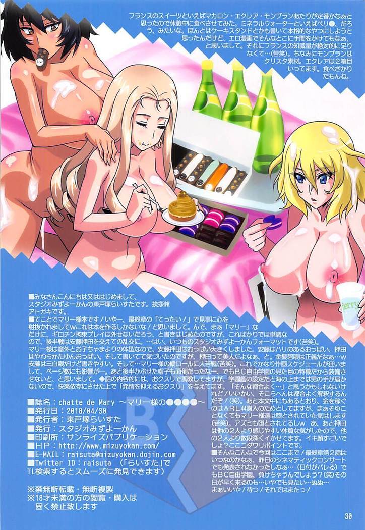 chatte de Mary ~Mary-sama no....~