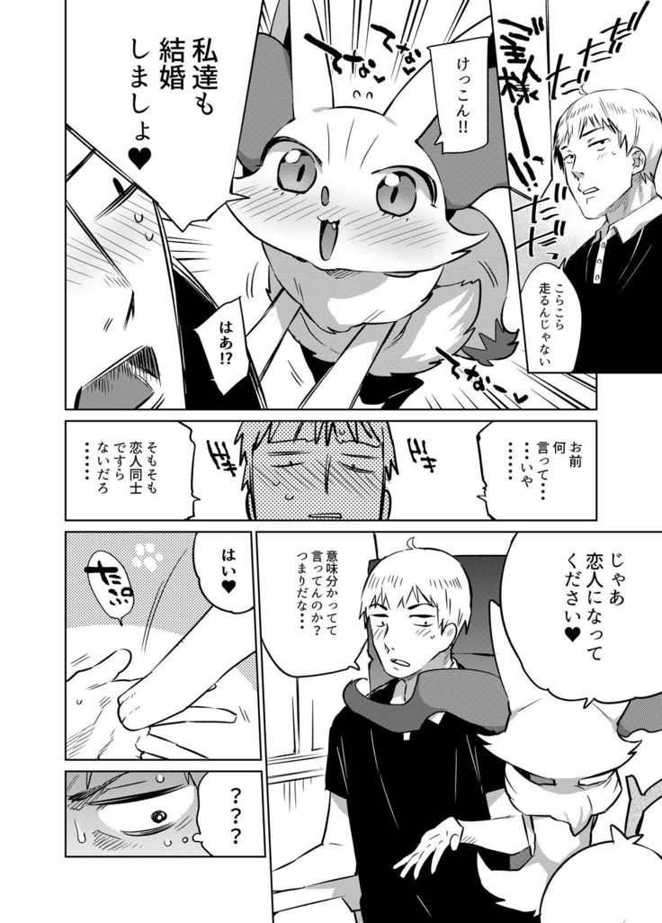 PoKekkon +α