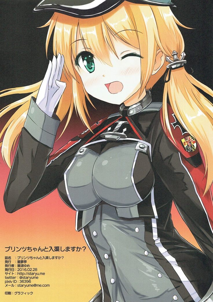 Prinzちゃんと入渠しますか？ 艦隊これくしょん-艦これ-