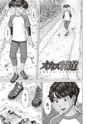 Mesukano Inbi na Mesu Kanojo-tachi to no Hibi Page #52