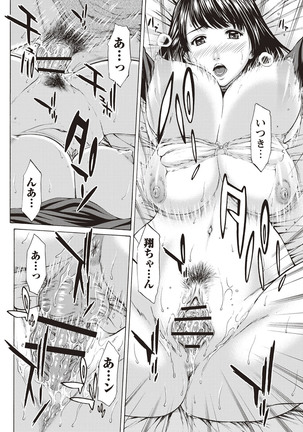 Mesukano Inbi na Mesu Kanojo-tachi to no Hibi Page #207