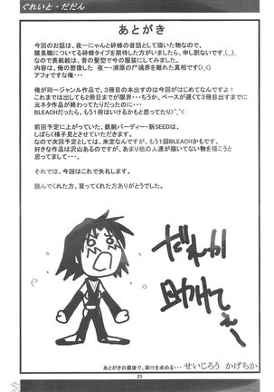 Yoruichi Nyan to Soi Fon no Hon - Page 24