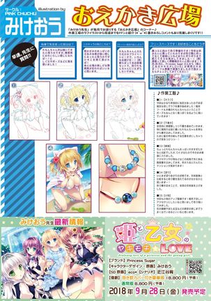 月刊うりぼうざっか店 2018年8月25日発行号 - Page 13