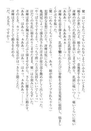 完全無欠のダメ姉ハーレム - Page 229