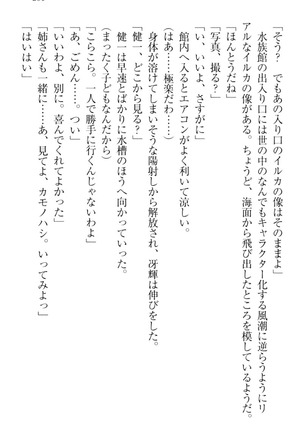 完全無欠のダメ姉ハーレム - Page 211