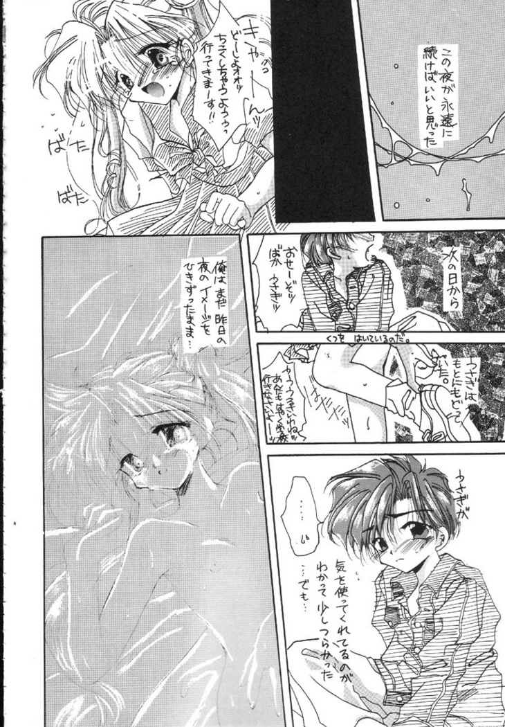 Kantsubaki no Ma