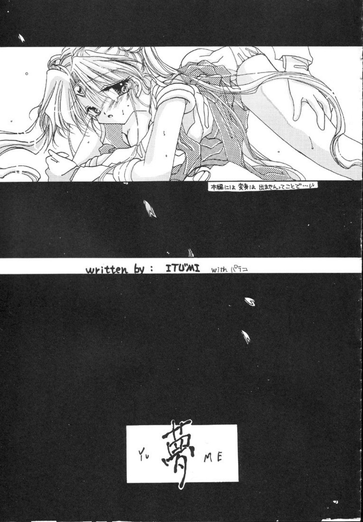 Kantsubaki no Ma