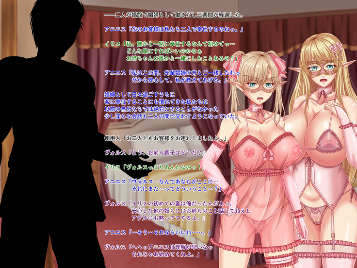 When Did My Elf Companions Become Prostitutes