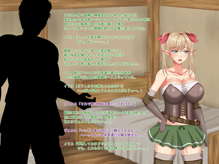 When Did My Elf Companions Become Prostitutes