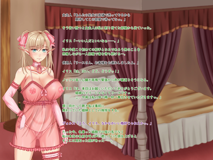 When Did My Elf Companions Become Prostitutes