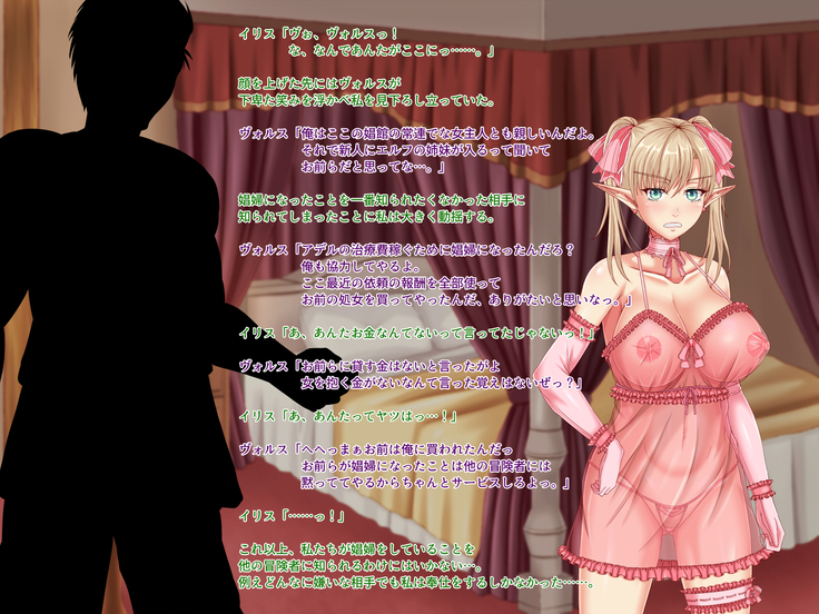 When Did My Elf Companions Become Prostitutes