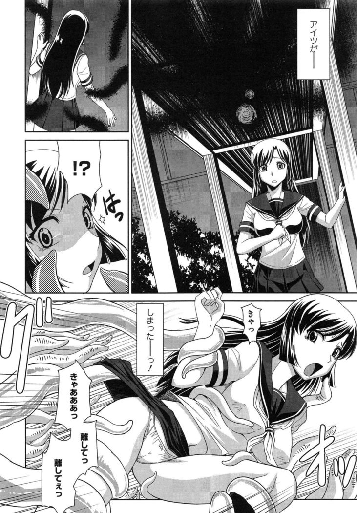 Zettai Haiboku♡ Oneesan