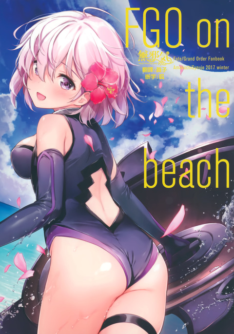 FGO on the beach