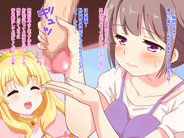 Seijun Ohimesama no ama ama Soro Kaizen Tokkun