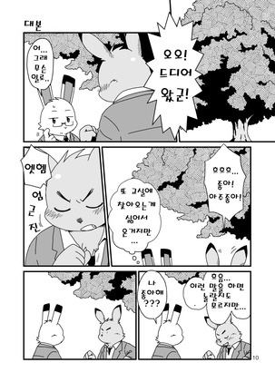 Hajimemashite no Usagi-domo - Page 10