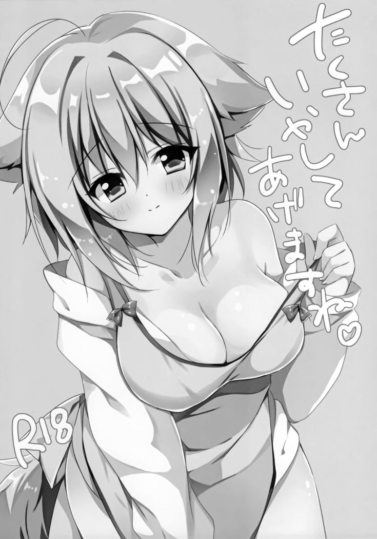 LOOPTHELOOP! ] Takusan iya shite agemasu ne.