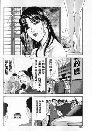 Sukedachi Himiko Page #249