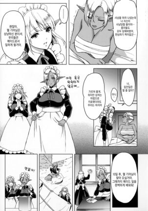 Reizoku Elf Maid + C91 Kaijou Genteibon - Page 4