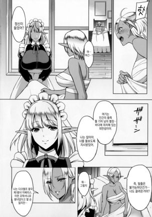 Reizoku Elf Maid + C91 Kaijou Genteibon - Page 3