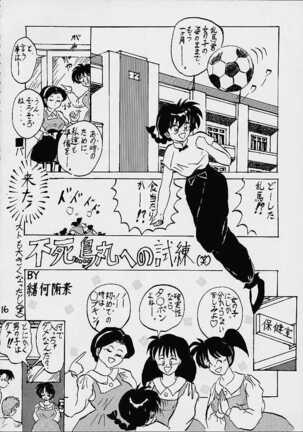 Impression 4 Page #15