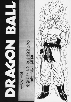 Dragon Ball H02 - Page 14