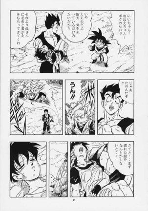 Dragon Ball H02 Page #42