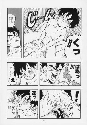 Dragon Ball H02 - Page 54