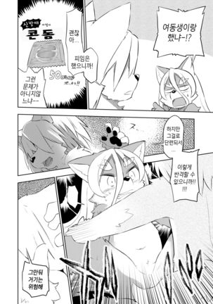 Hyaku-nen Majo no Shiro Page #14
