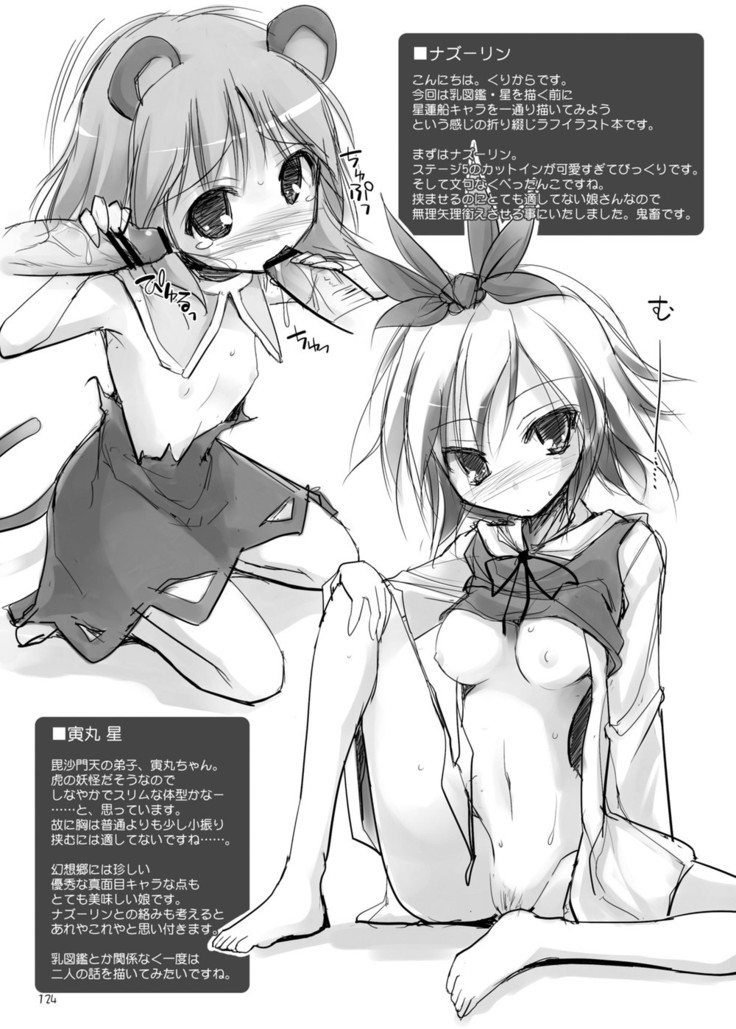 Gensokyo Chichi Zukan Soushuuhen 2