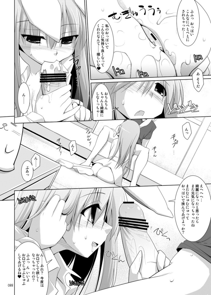 Gensokyo Chichi Zukan Soushuuhen 2