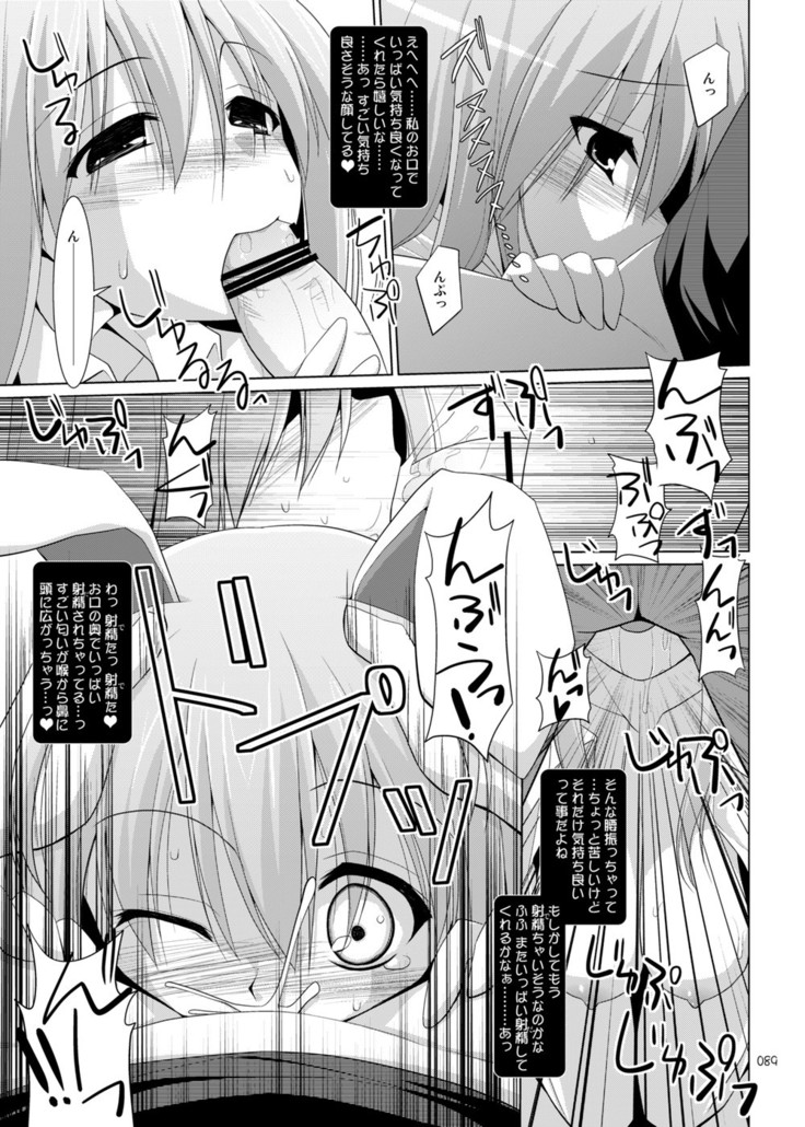 Gensokyo Chichi Zukan Soushuuhen 2