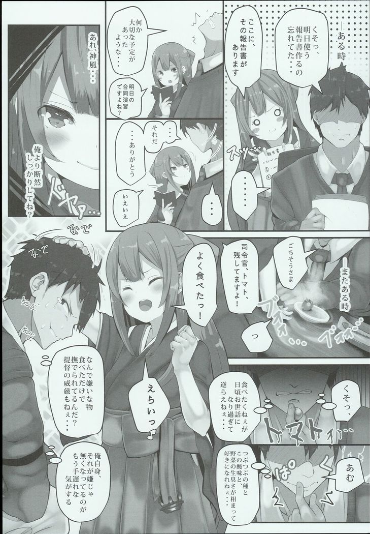 Kamikaze-chan wa Osewa Shitai