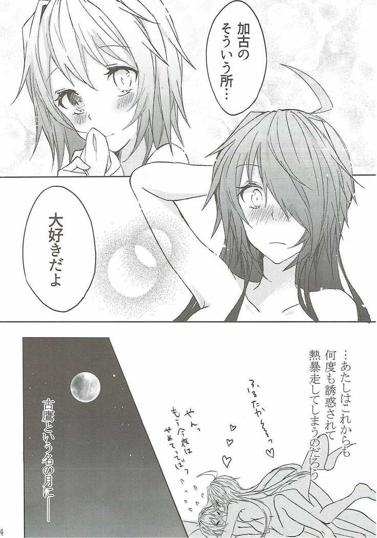 Toaru juujun Shimai no Netsu Bousou