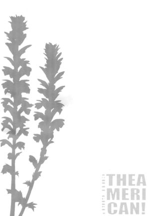 Image 1831440