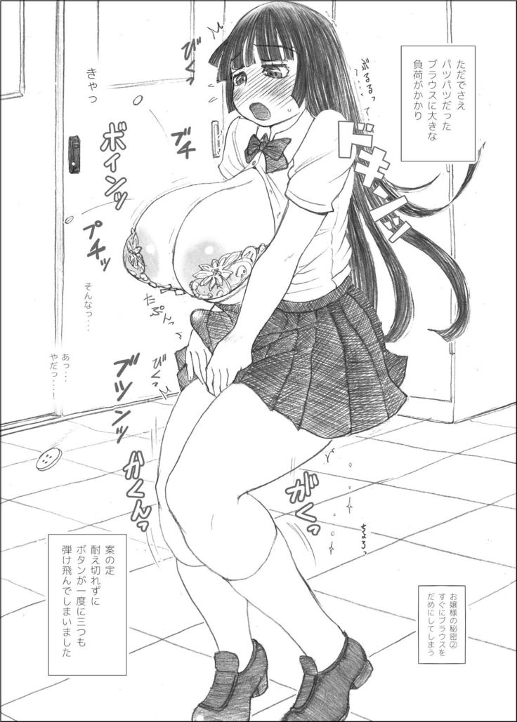 Futanalita Soushuuhen H
