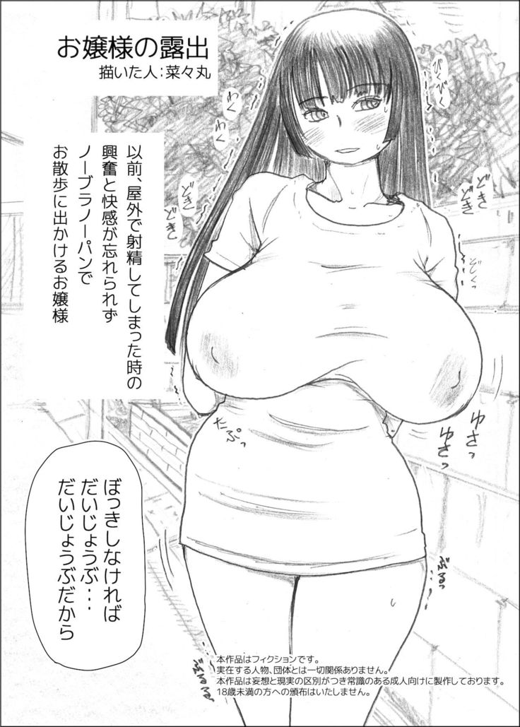 Futanalita Soushuuhen H