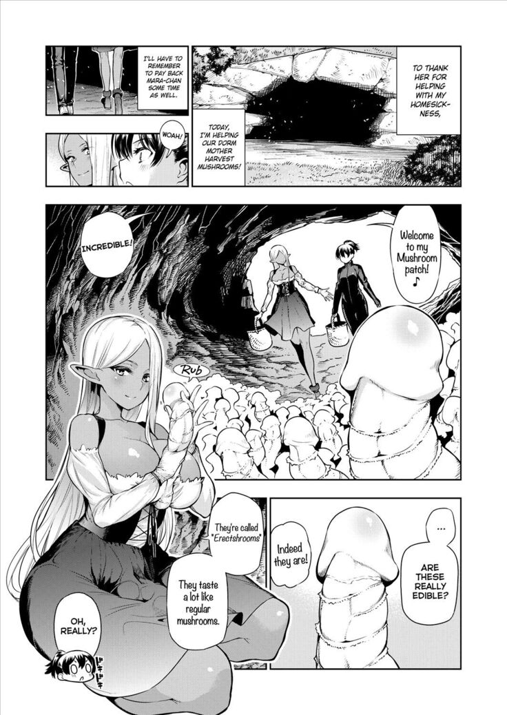 Futanari no Elf