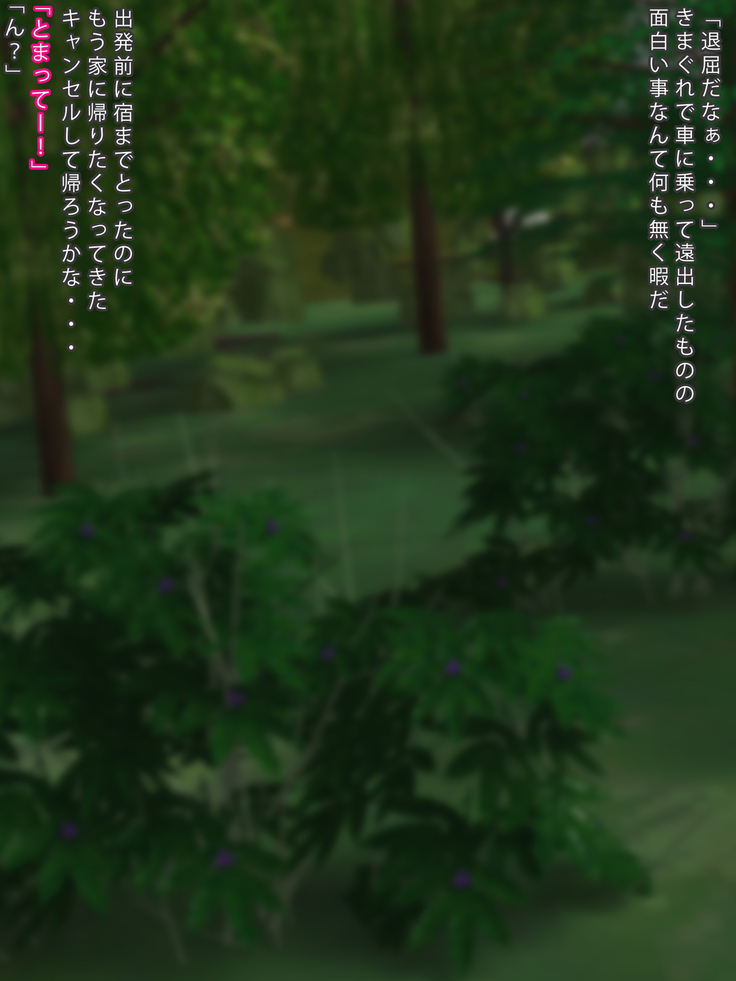 Hitchhike Shiteita Onnanoko to Iku Sakizaki de Sex Zanmai no Tabi!
