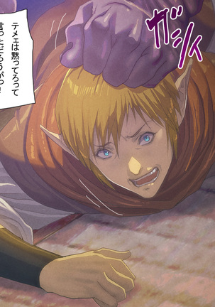Higyaku no Erufu tsuma Page #18
