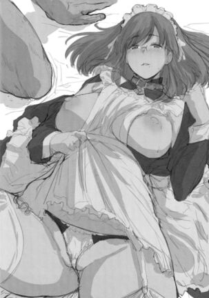 Boku wa Shiranai, Maid no Shigoto o Page #29