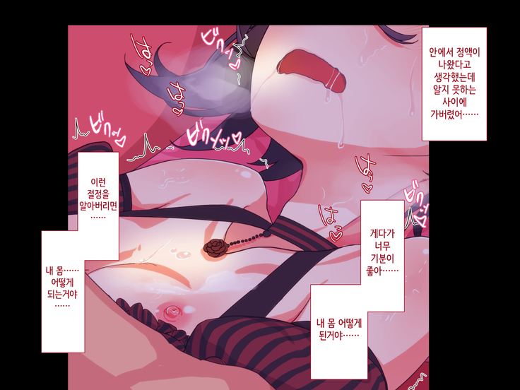 Maji Iki Zemi | 성실 건방 세미나