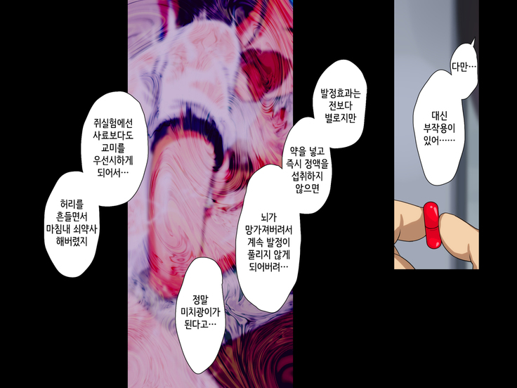 Maji Iki Zemi | 성실 건방 세미나