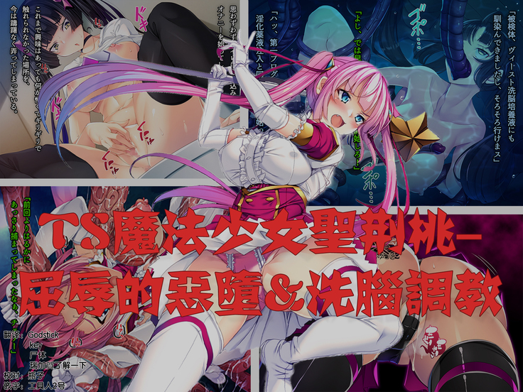 TS Mahou Shoujo Saint Cherry Kuppuku no Akuochi Sennou Choukyou Hen