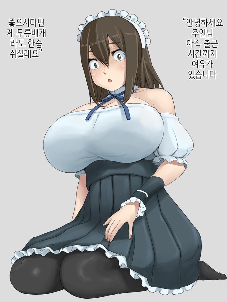 Shihakugan no Maid-san