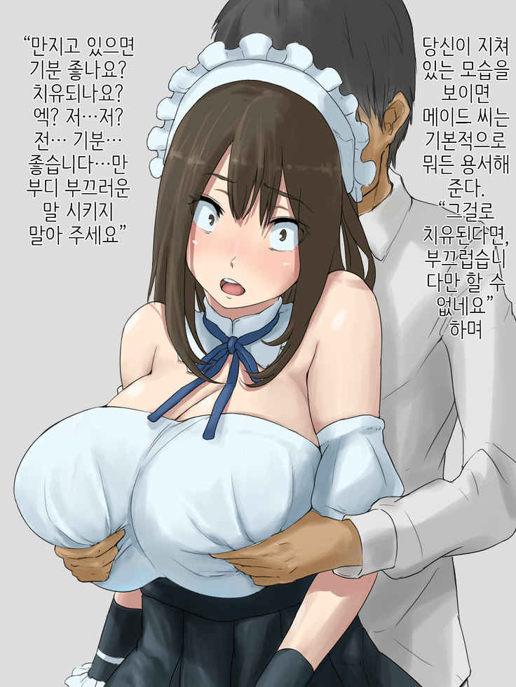 Shihakugan no Maid-san