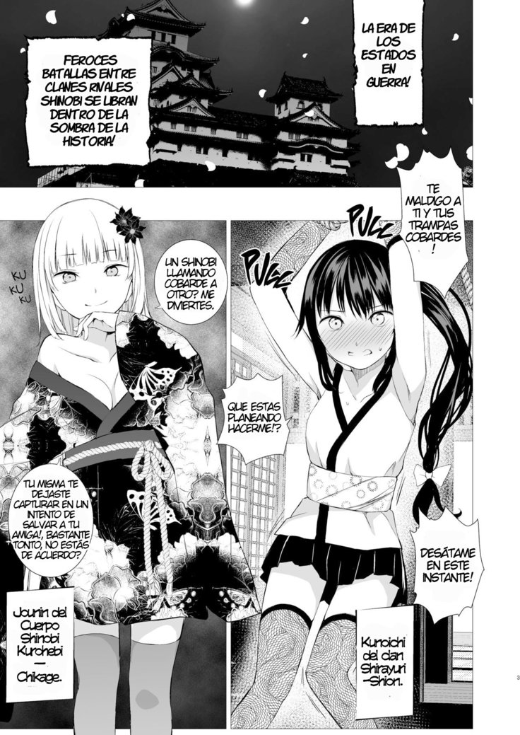 Oshinobi Shoujo no Asobikata