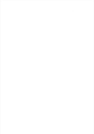 Image 4615086